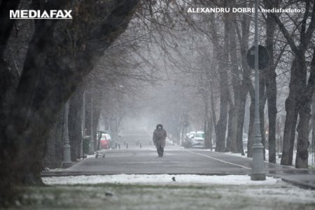 Ninsori si temperaturi negative in Bucuresti in urmatoarele zile