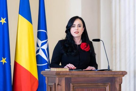 Ministrul Muncii crede ca Romania si-a atins obiectivele in domeniul politicilor sociale