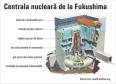 Fukushima, un cosmar care d<span style='background:#EDF514'>ISPA</span>re greu