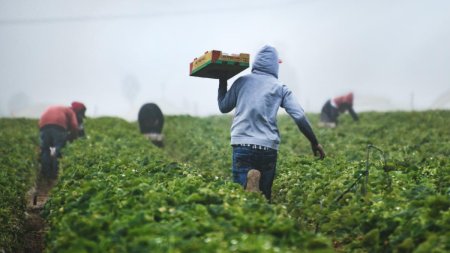 Sclavie, cu acordul statului: 25 de ani, romanii au fost lasati la mana angajatorilor abuzivi din strainatate