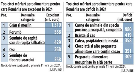 10 ani degeaba: graul ne aduce excedent de 1,3 mld. euro, dar b<span style='background:#EDF514'>ISCUITI</span>i si painea venite din import ne-au creat o gaura de peste 300 mil. euro in 2024 - top 5 sectoare cu deficit in comertul alimentar fata in fata cu top 5 cu excedent