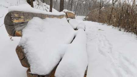 Cel mai mare strat de zapada din ultimii 7 ani, intr-o luna de februarie, in Bucuresti. Ger si minus 15 grade in zilele urmatoare