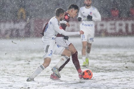 Ironizata si atacata de MM Stoica si Panduru, FC Botosani se apara dand vina pe Rapid si LPF: Asta e regretabil!