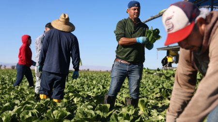 Expulzarea a milioane de imigranti ar soca economia SUA, crescand preturile la locuinte, alimente si altele