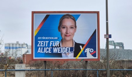 Alegeri parlamentare in Germania. AfD castiga teren si ajunge pe locul doi in sondaje