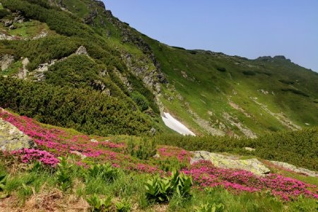 Muntii Rodnei - curiozitati. Unde se afla si ce poti vizita