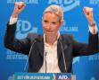 Reuters: AfD nu va castiga alegerile federale