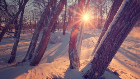 Cum va fi vremea maine. Prognoza meteo pentru miercuri, 26 februarie 2025