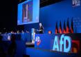 AfD reinstaleaza doi politicieni exclusi din cauza simpatiilor naziste