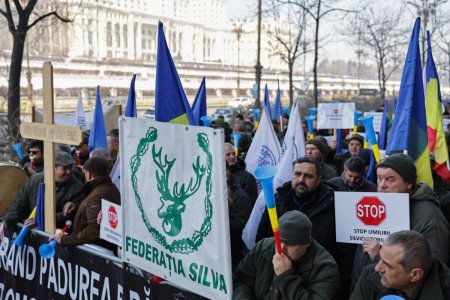 Protest al silvicultorilor in fata Ministerului Mediului, dupa ce Guvernul le-a redus salariile cu 25%