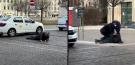 VIDEO. Scene ireale in centrul orasului Oradea. Un sustinator al lui Calin Georgescu a facut flotari pe linia de tramvai. Ce i-a facut politia