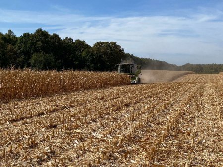 EXCLUSIV ZF. Un grup romanesc va prelua un activ strategic de la un colos american. Carmistin, jucator de top din industria agroalimentara din Romania, cu afaceri de 1,5 mld. lei, detinut de Iustin Paraschiv, cumpara producatorul de nutreturi pentru animale Provimi de la grupul american Cargill