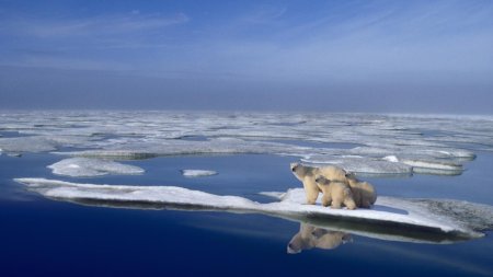 Gheata din Oceanul Arctic se topeste intr-un ritm alarmant. Avertismentul oamenilor de stiinta: A atins minimul istoric