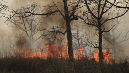 Filmare unica dintr-un avion Spartan al Armatei Romane care arunca 5.000 de litri de apa peste incendiile de vegetatie din judetele Caras-Severin si Hunedoara