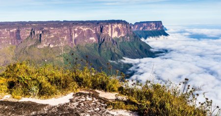 Lumea pierduta de pe Muntele Roraima, izolata de milioane de ani. Indigenii o considera casa zeilor