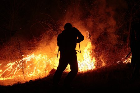 Incendii de vegetatie in sase judete. Peste 500 de hectare sunt afectate