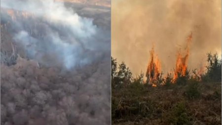 Alerta in mai multe judete dupa izbucnirea incendiilor de vegetatie. A fost trimis un avion <span style='background:#EDF514'>SPARTA</span>n, sute de hectare sunt afectate