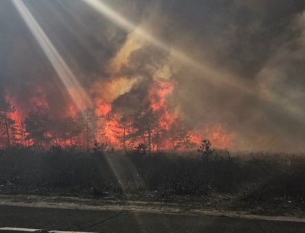 Guvernatorul New York-ului declara stare de urgenta in urma incendiilor de padure pe Long Island