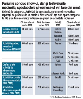 Economia Romaniei se duce cu viteza spre o economie a serviciilor: Spectacolele, meciurile sau wellnessul cresc rapid, dar pariurile si <span style='background:#EDF514'>PACANELE</span> reprezinta deocamdata grosul activitatilor recreative