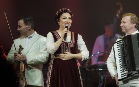 Ce s-a intamplat la <span style='background:#EDF514'>CONCERT</span>ul Andrei de la Bruxelles: Ca sa evitam o amenda uriasa de 125.000 de euro. 6.000 de romani au fost prezenti