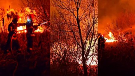 Rezervatia naturala Delta din Carpati, Brasov, distrusa de incendii: Este o mana criminala