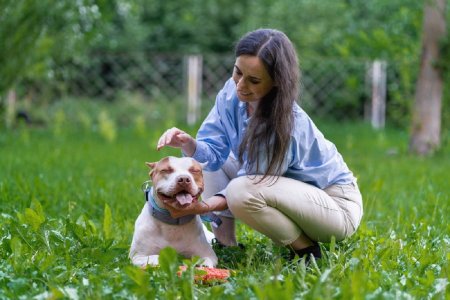 Cainele Pitbull - tot ce trebuie sa stii despre aceasta rasa