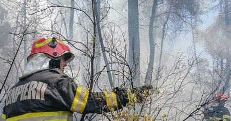 Trei fermieri romani care au provocat incendii de vegetatie vor ramane fara banii de la APIA: Nu va mai curatati terenul cu chibritul