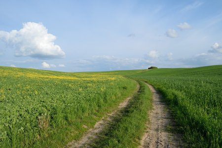 Amenda de 15.000 lei pentru un fermier care a imprastiat <span style='background:#EDF514'>GUNOI</span> pe un teren agricol. Motivul, disconfortul olfactiv