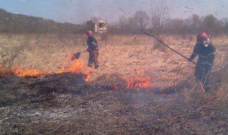 Zeci de persoane cercetate penal, in urma unor incendii de vegetatie uscata