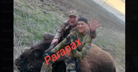 Soldatii rusi au ucis un exemplar rar de bizon, specie protejata in Ucraina. Cum s-au razbunat fortele ucrainene