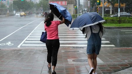 Alerta meteo. <span style='background:#EDF514'>VANT PUTERNIC</span> si vijelii in jumatate de tara