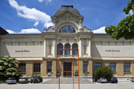 Medicii din Elvetia prescriu vizite la muzeu pentru pacienti: Le permite sa uite pentru un timp de griji