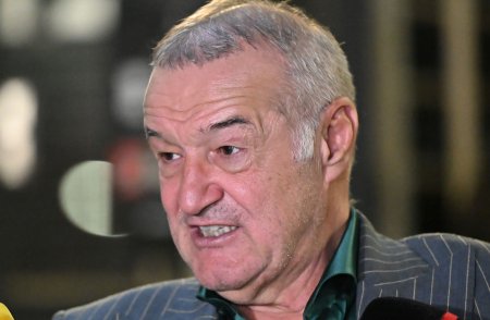 Gigi Becali roaga CCR sa-l lase pe Simion sa candideze: Asta ne-ar lipsi, Anamaria Gavrila. Ajungem de rasul lumii