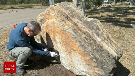 Descoperire neasteptata intr-un liceu din Australia. Detaliile care au trecut neobservate timp de 23 de ani. FOTO