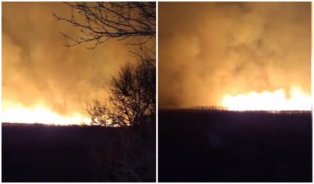 Incendiu puternic in Aliman, Constanta. Pompierii s-au luptat cu flacarile sase ore I VIDEO  