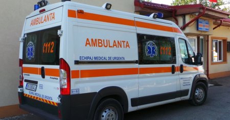 Tragedie in Vrancea: Batran ucis de un copac doborat de vant