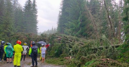 Vijeliile au lovit cu putere in aproape toata tara, lasand in urma pagube mari si chiar victime. Un barbat a <span style='background:#EDF514'>MURI</span>t dupa ce a fost strivit de un copac cazut de vant