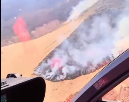 Si in Delta arde vegetatia (Video)