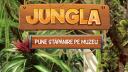 Jungla pune stapanire pe muzeu. Expozitie de fluturi exotici vii la Muzeul Antipa