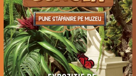 Jungla pune stapanire pe <span style='background:#EDF514'>MUZEU</span>. Expozitie de fluturi exotici vii la <span style='background:#EDF514'>MUZEU</span>l Antipa