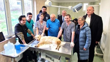 Casuta Veterinarului. Sute de studenti si profesorii lor vor trata caini fara stapan la Centrul de Adoptie Odai