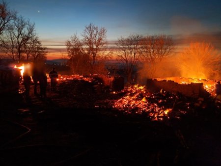 Peste o suta hectare de vegetatie uscata, mistuite de flacari, in judetul Constanta