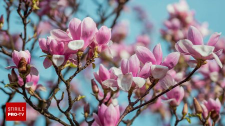 Cum va fi vremea la inceputul lunii aprilie. Meteorologii estimeaza temperaturi mai mari decat in mod normal