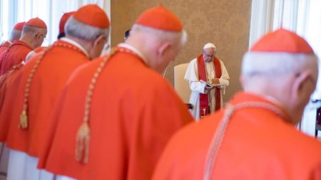 Ar putea Papa Francisc sa-si anunte demisia la urmatorul consistoriu?