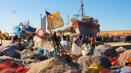 O fetita de 2 luni a fost dusa din Maroc pana in Italia intr-o punga de cumparaturi. Ancheta a scos la lumina detalii infioratoare