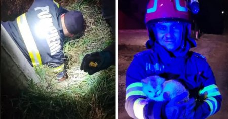 Interventie emotionanta a ISU Cluj. Pompierii au salvat o pisica blocata intr-o teava, pe un santier