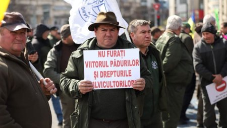 <span style='background:#EDF514'>SILVIC</span>ultorii protesteaza la Bucuresti fata de taierea salariilor si ameninta cu greva generala