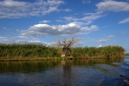 Planul de management pentru Rezervatia Biosferei <span style='background:#EDF514'>DELTA</span> Dunarii, pus in dezbatere publica