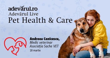 Cum ne ajuta animalele de companie sa combatem stresul, depresia si anxietatea. Aflam de la  Andreea Conicescu, medic veterinar