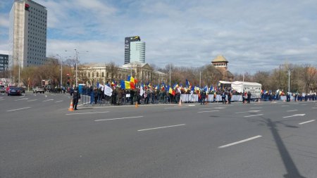 25.000 de silvicultori afectati de abuzurile sefilor din Romsilva